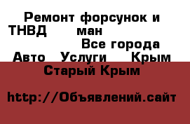 Ремонт форсунок и ТНВД Man (ман) TGA, TGL, TGS, TGM, TGX - Все города Авто » Услуги   . Крым,Старый Крым